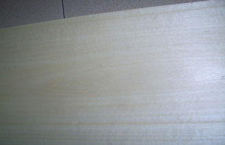 0.5 mm Kalınlık Dilimli Ahşap, Mobilya için Doğal Beyaz Huş ağacından Kaplama